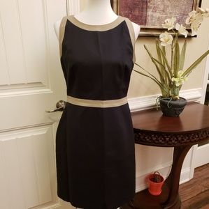 TAHARI Coloblock Sleeveless Dress